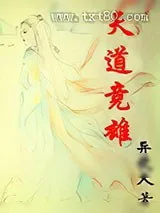 《天道竞雄》小说封面
