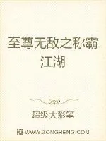 《至尊无敌之称霸江湖》小说封面