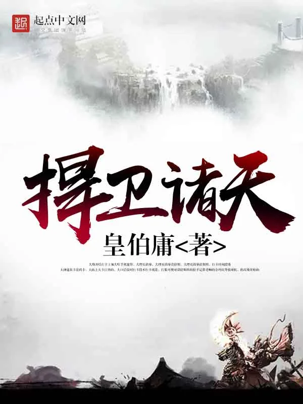 《捍卫诸天》小说封面