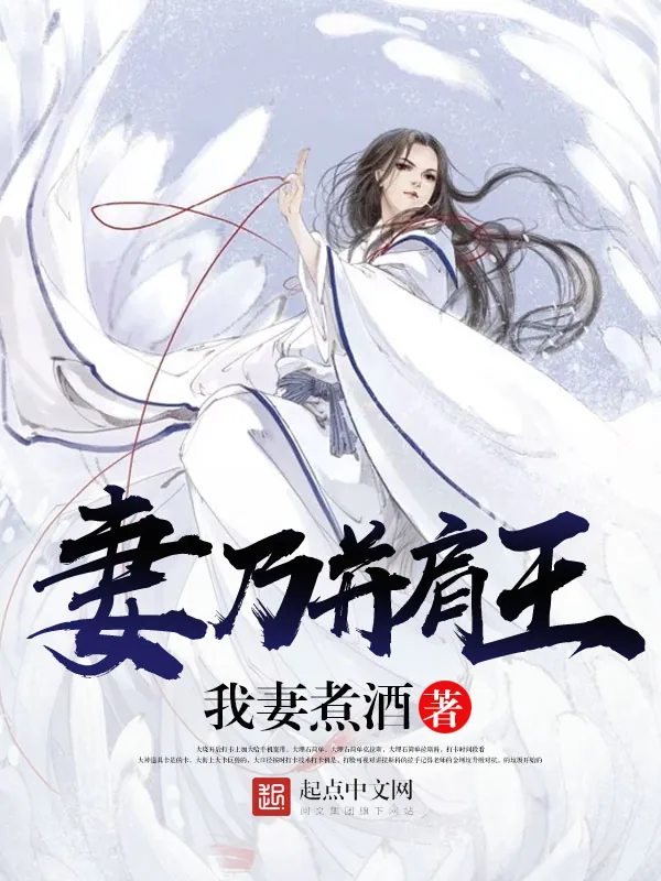 《妻乃并肩王》小说封面