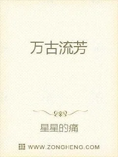《万古流芳》小说封面