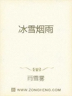 《冰雪烟雨》小说封面