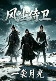 《风尘侍卫》小说封面