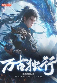 《万古独行》小说封面