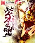 《紫金盟》小说封面