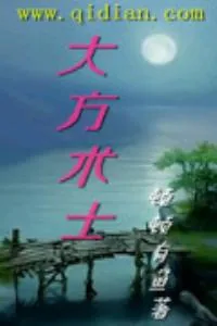 《大方术士》小说封面