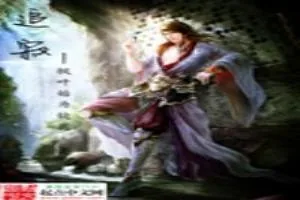《追寂》小说封面