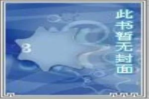 《如风传奇》小说封面