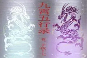 《九霄五行录》小说封面
