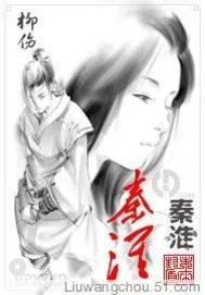 《秦淮旧梦》小说封面