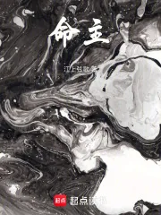 《命主！》小说封面