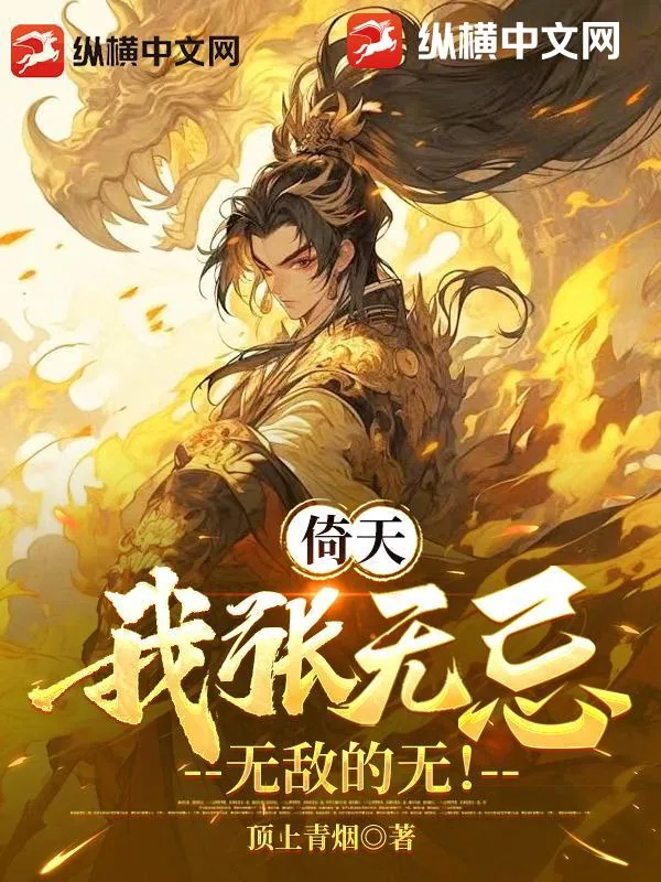 《倚天：我张无忌，无敌的无！》小说封面
