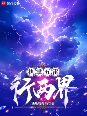 《执掌五雷行两界》小说封面