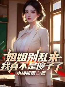 《姐姐别乱来，我真不是傻子了》小说封面