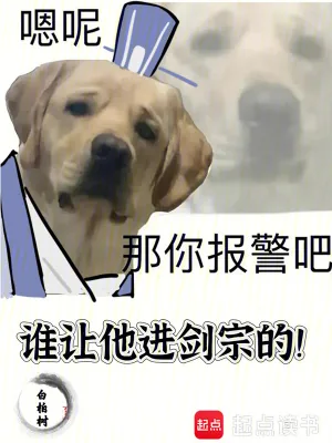 《谁让他进剑宗的！》小说封面