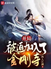《开局被迫加入了金刚寺》小说封面