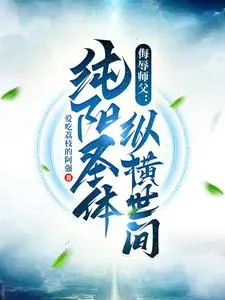 《侮辱师父，纯阳圣体纵横世间》小说封面