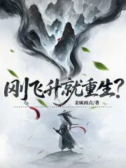 《刚飞升就重生?》小说封面