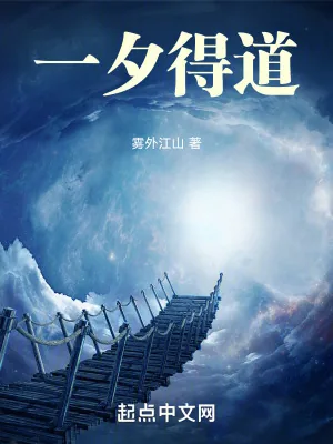 《一夕得道》小说封面