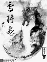 《雪将尽》小说封面