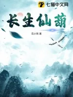《长生仙葫》小说封面