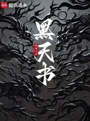 《黑天书》小说封面