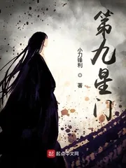 《第九星门》小说封面