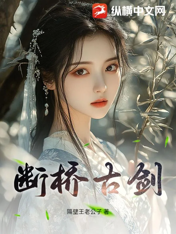 《断桥古剑》小说封面