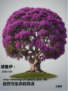 《德鲁伊：自然与生命的真谛》小说封面