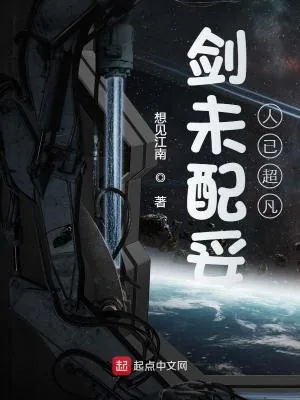 《剑未配妥人已超凡》小说封面