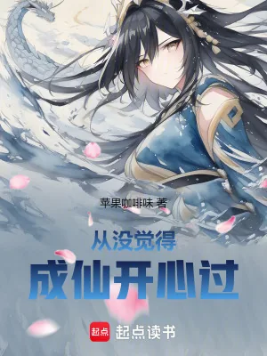 《从没觉得成仙开心过》小说封面