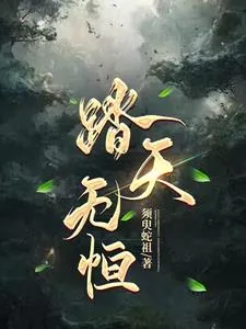 《踏天无恒》小说封面