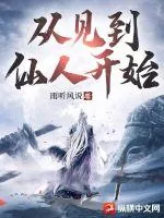 《从见到仙人开始》小说封面
