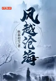 《风越沧海》小说封面