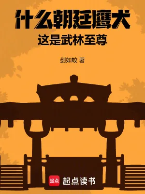 《什么朝廷鹰犬，这是武林至尊》小说封面