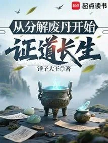 《从分解废丹开始证道长生》小说封面