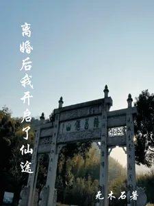 《离婚后我开启了仙途》小说封面