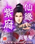 《紫府仙缘》小说封面