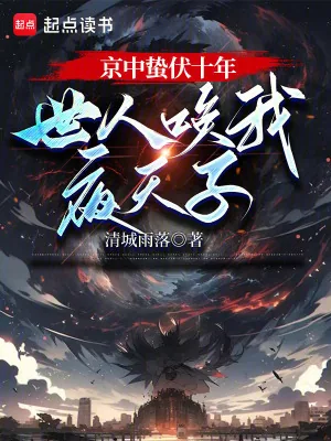 《京中蛰伏十年，世人唤我夜天子》小说封面