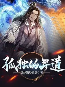 《孤独的寻道》小说封面