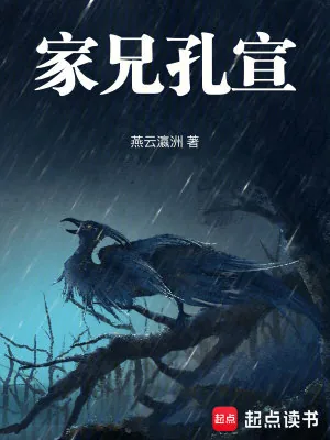 《家兄孔宣》小说封面