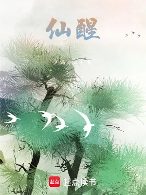 《仙醒》小说封面