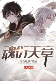 《魂衍天章》小说封面