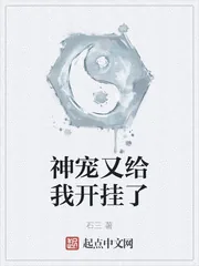 《神宠又给我开挂了》小说封面