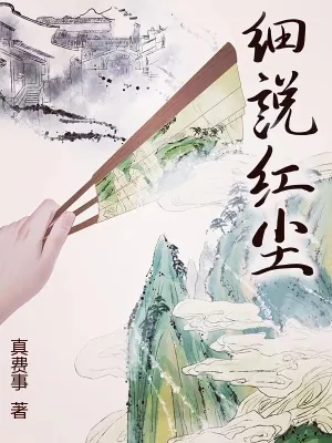 《细说红尘》小说封面