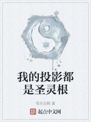 《我的投影都是圣灵根》小说封面