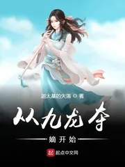 《从九龙夺嫡开始》小说封面