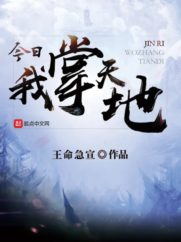 《今日我掌天地》小说封面