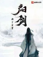 《阳剑》小说封面