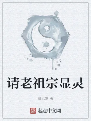 《请老祖宗显灵》小说封面